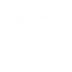 Diamond Life Logo